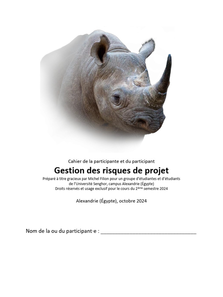 Gestion des Risques de Projet 2024 | PDF | Risque | Gestion des risques