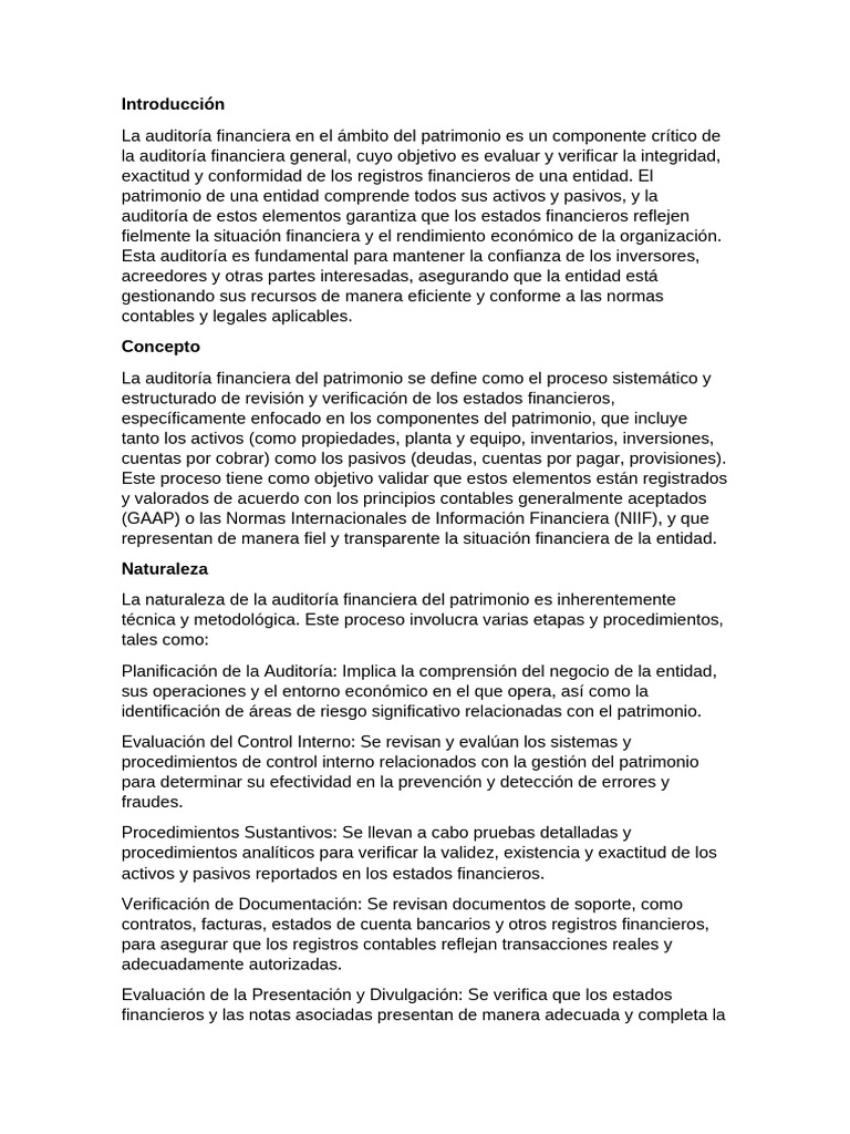 Auditoria Financiera (Grupo) | PDF | Auditoría | Contabilidad