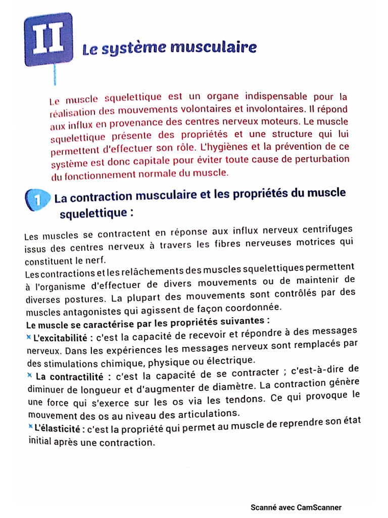 Systeme Musculaire Cours | PDF