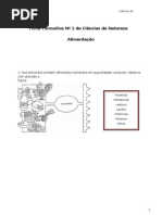 Ficha Formativa 1 CN6