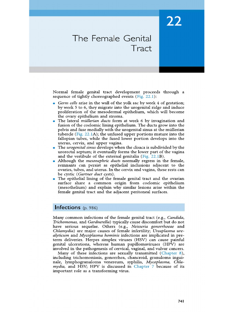Female Genital Tract | PDF