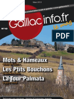 Gaillacinfo Le Mag N°10 - Mars 2012