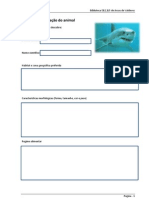 Ficha de Identificação tubarão