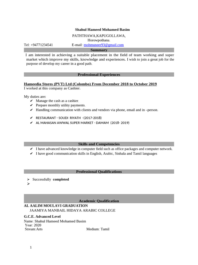 Waseem Bro CV | PDF