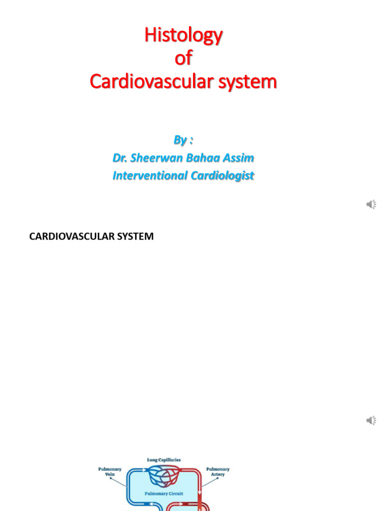 Cardiovascular System Histology Overview | PDF | Artery | Capillary