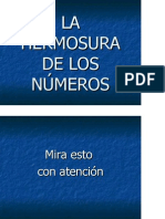 La Hermosura de Los Numeros