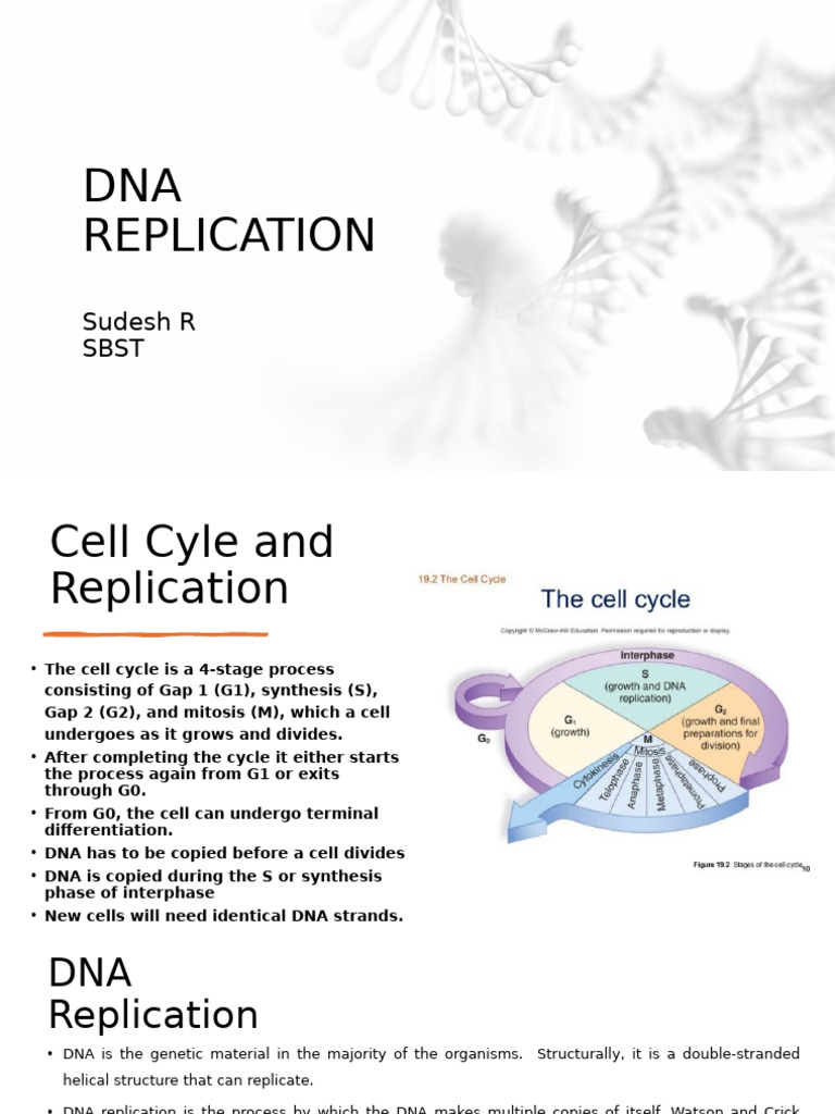 Understanding DNA Replication Mechanisms | PDF | Dna Replication ...