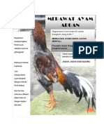 Download MERAWAT AYAM BANGKOK by Isnaini Alha SN85180979 doc pdf