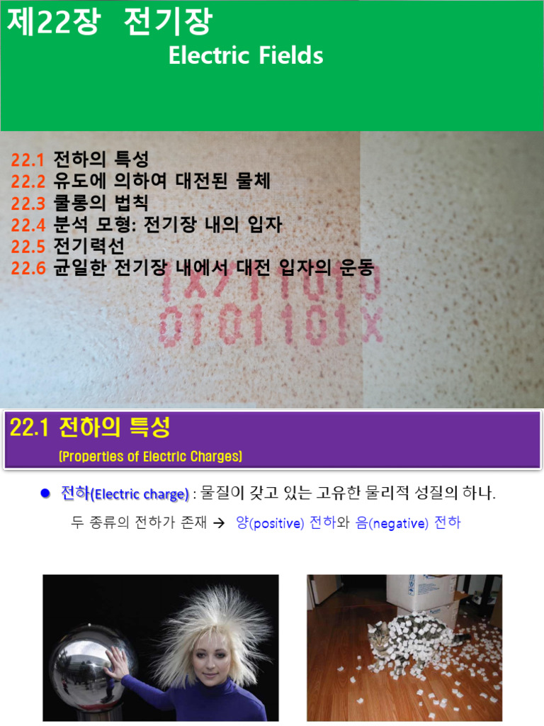 제22장 전기장 10판 | PDF