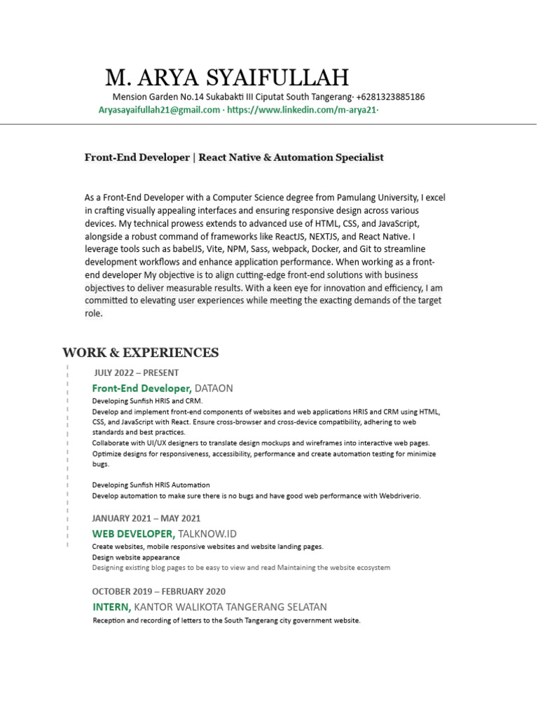 Front-End Developer Portfolio Overview | PDF | World Wide Web ...