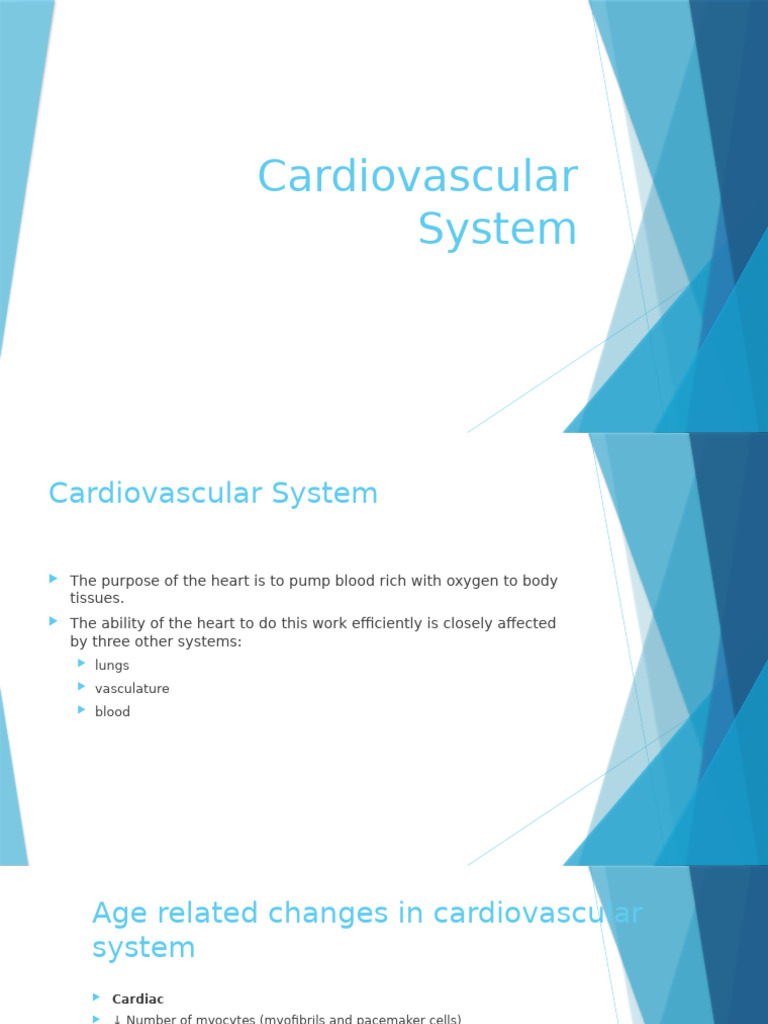 Cardiovascular System | PDF | Diastole | Heart