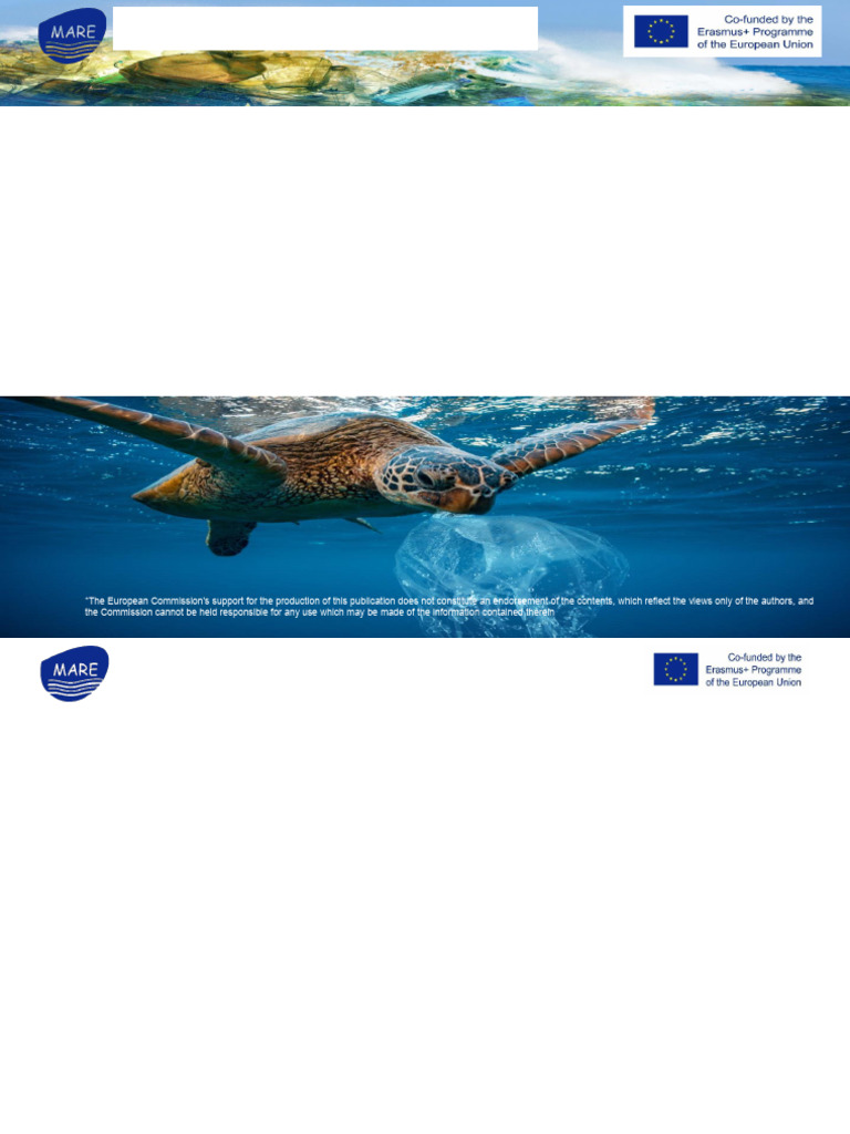 Marine Pollution and Coastal Ecosystems | PDF | Territorial Waters | Sea