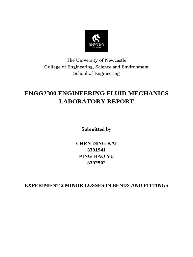 Minor Losses in Fluid Mechanics Experiment | PDF | Times New Roman