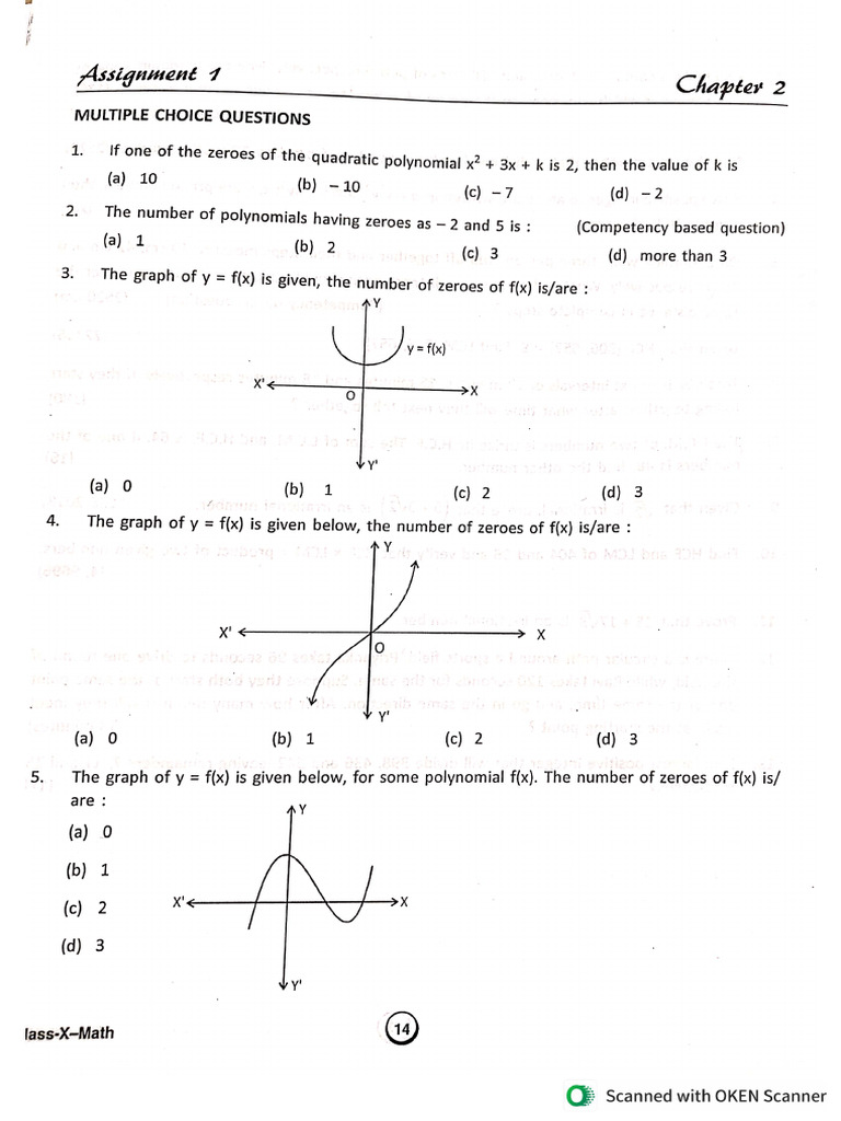 Class X Polynomials | PDF