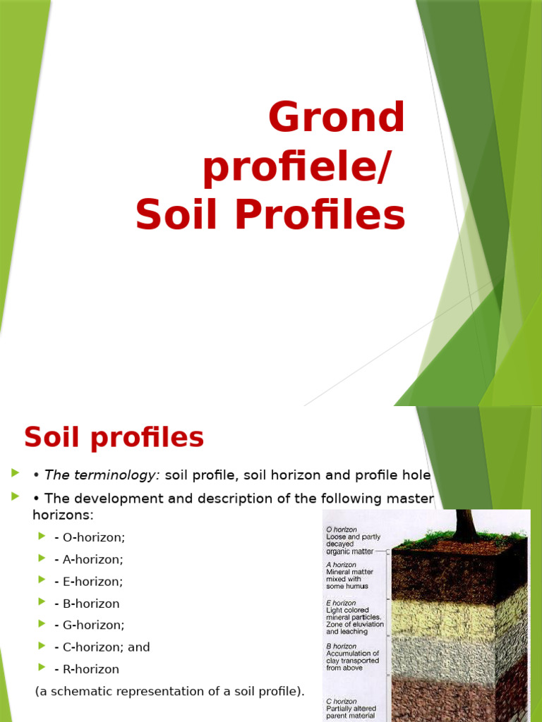 Gr11 Ground Profiles// Agricultural Sciences | PDF | Natural Materials ...