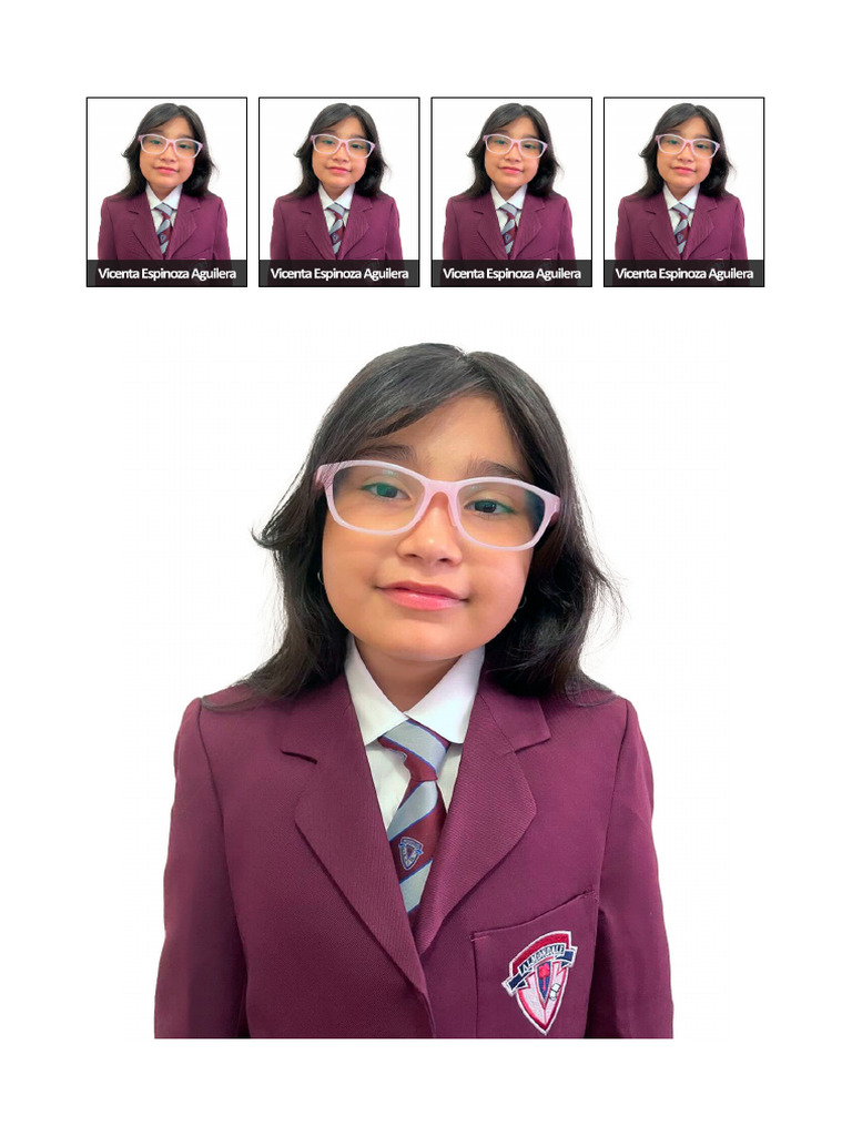 Impri Mir Vice | PDF