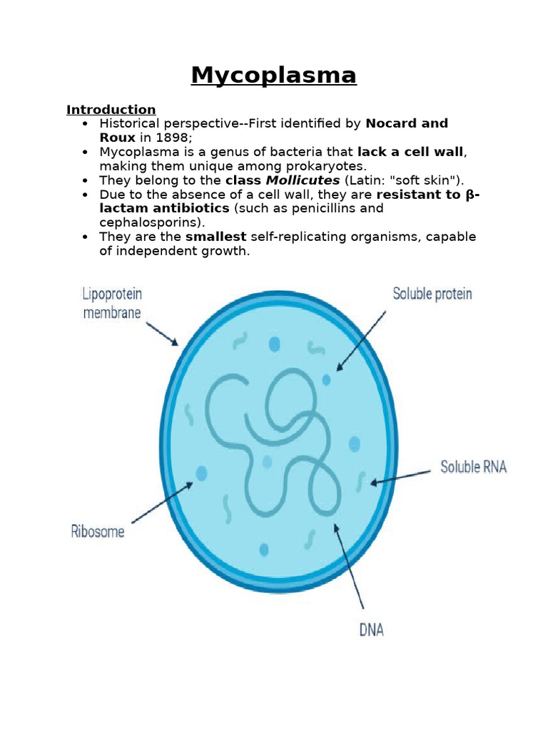 MYCOPLASMA | PDF | Mycoplasma | Organisms