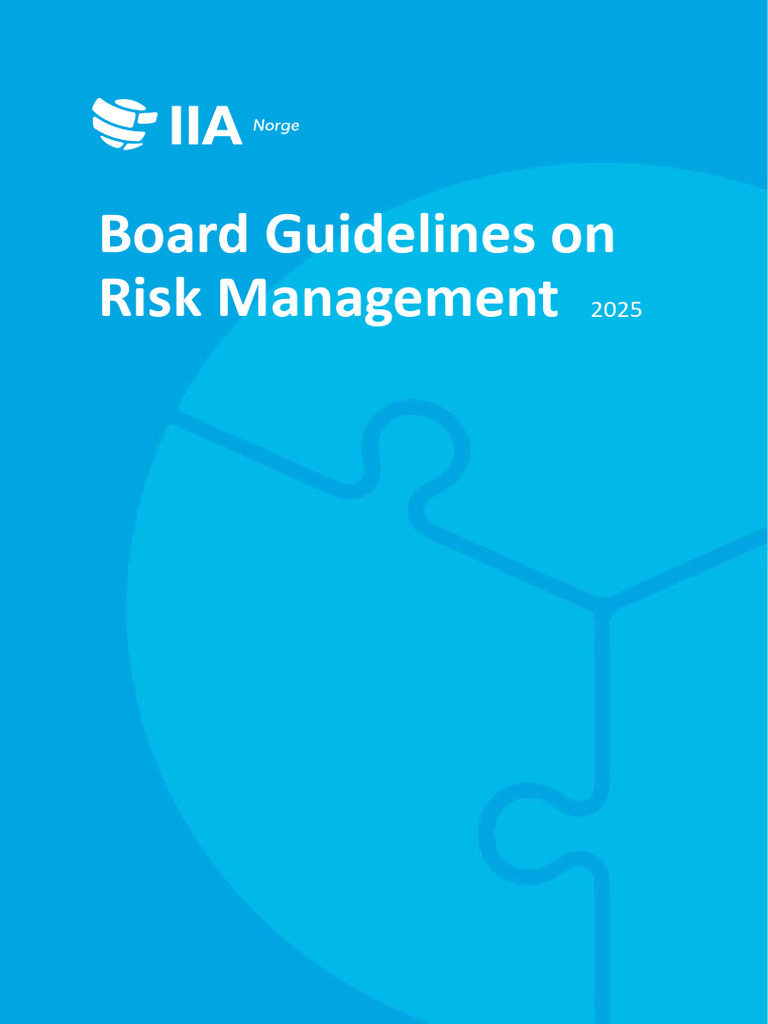 Board Guidelines Risk Management 2025 v1 | PDF | Risk Management | Risk