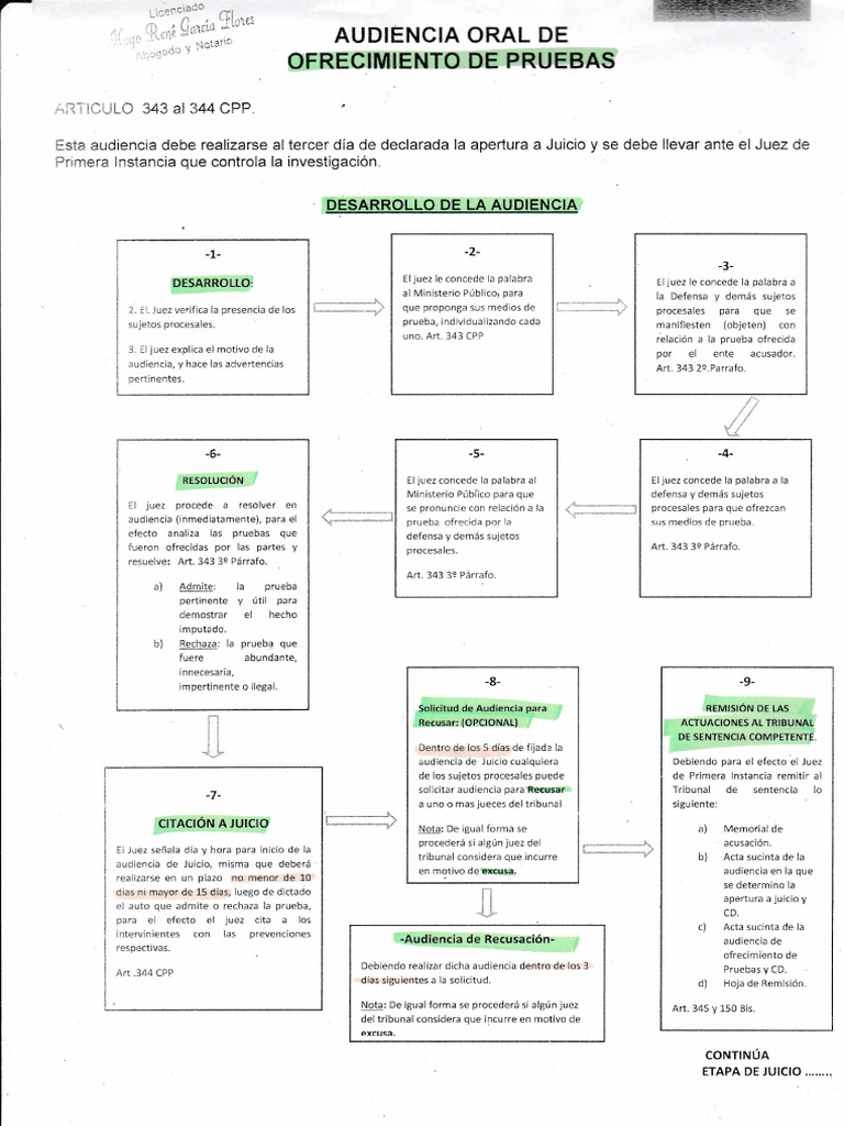 Esquema de Audiencia Oral de Ofrecimiento de Prueba en El Proceso | PDF
