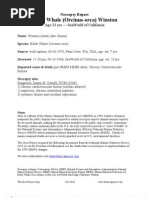 Download Necropsy- Killer Whale Winston by The Orca Project Corp SN85192405 doc pdf