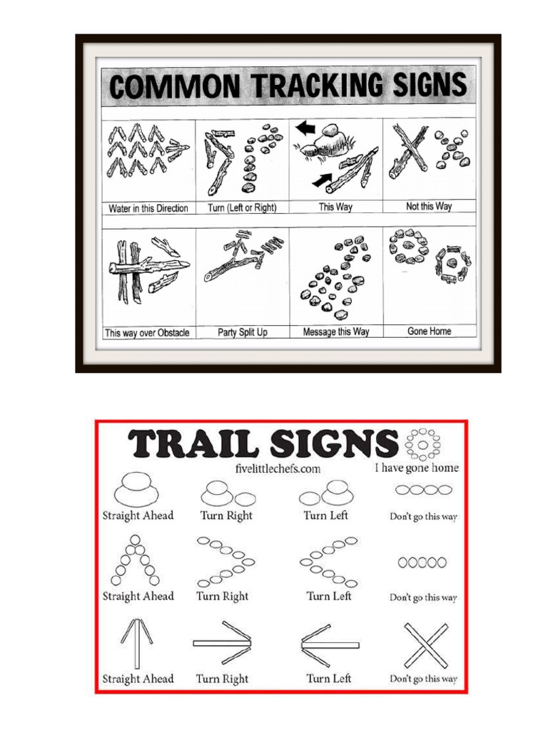 Understanding the Scout Oath and Law | PDF