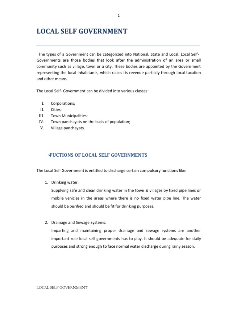 Local Self Government | PDF | Government | Politics (General)