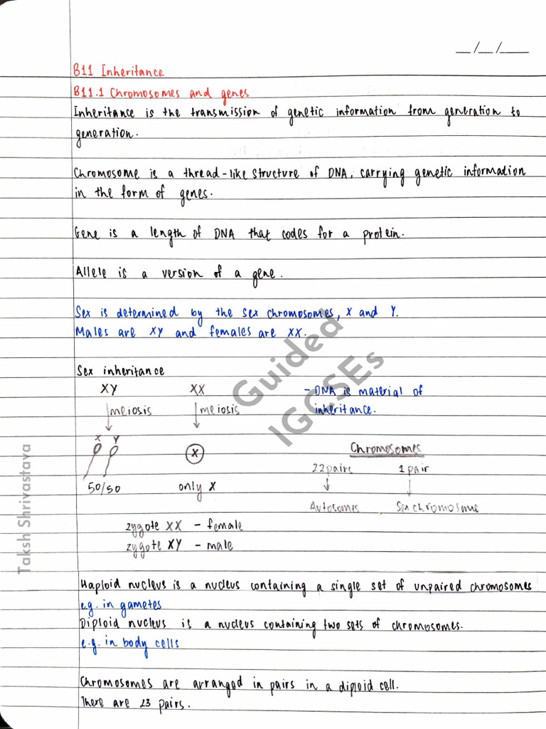 Unit 11 Inheritance - 0654 Biology | PDF | Cytogenetics | Biology