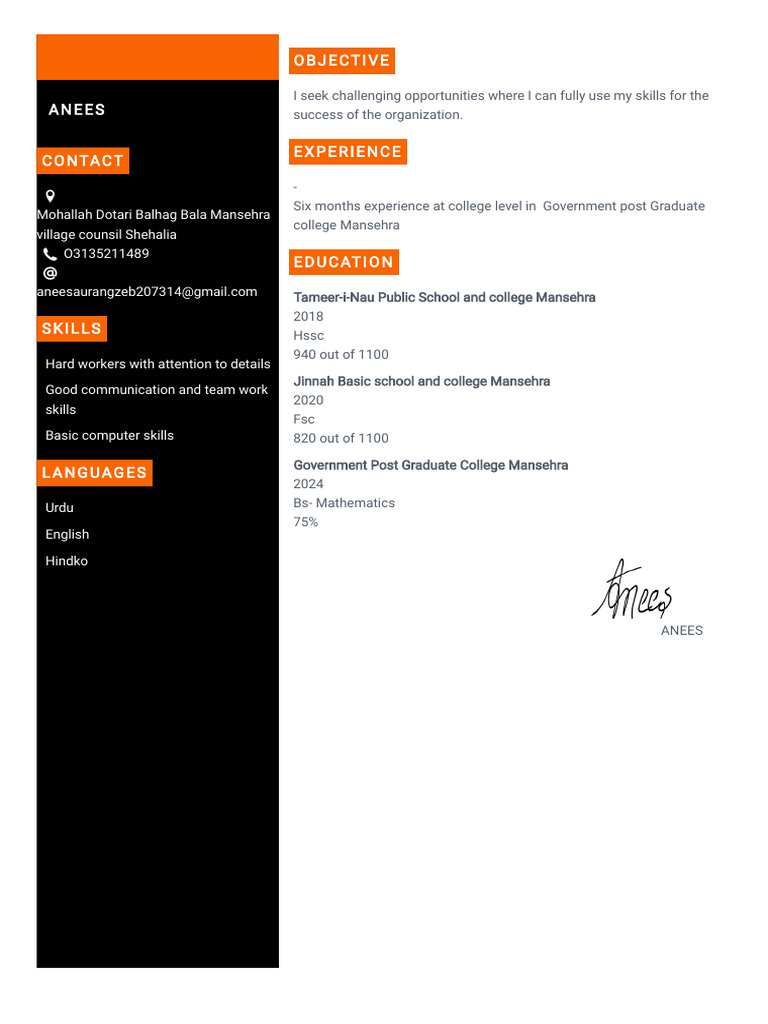 Mathematics Graduate Resume Summary | PDF