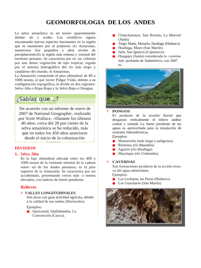 Geomorfología de la Selva Peruana | PDF | Deforestación | Perú