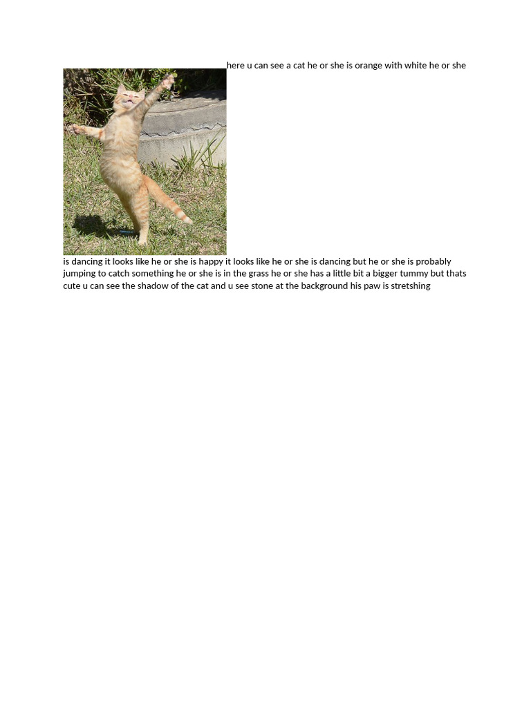 Happy Orange and White Dancing Cat | PDF