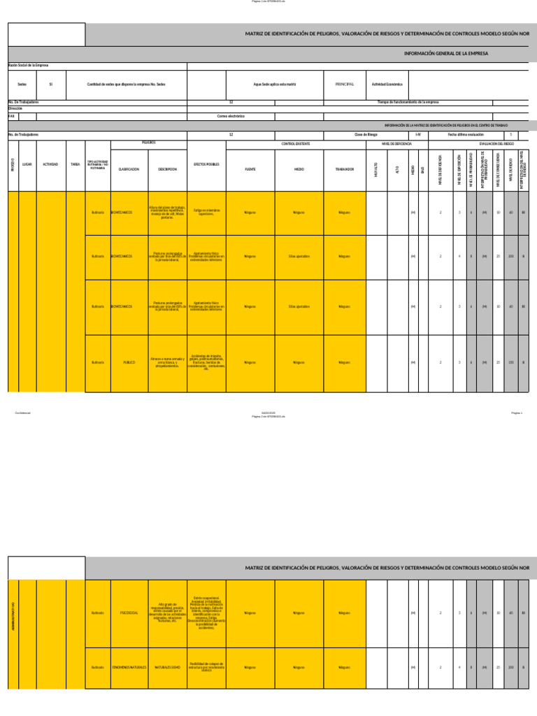 Identificación y Control de Riesgos Laborales | PDF | Riesgo | Radiación