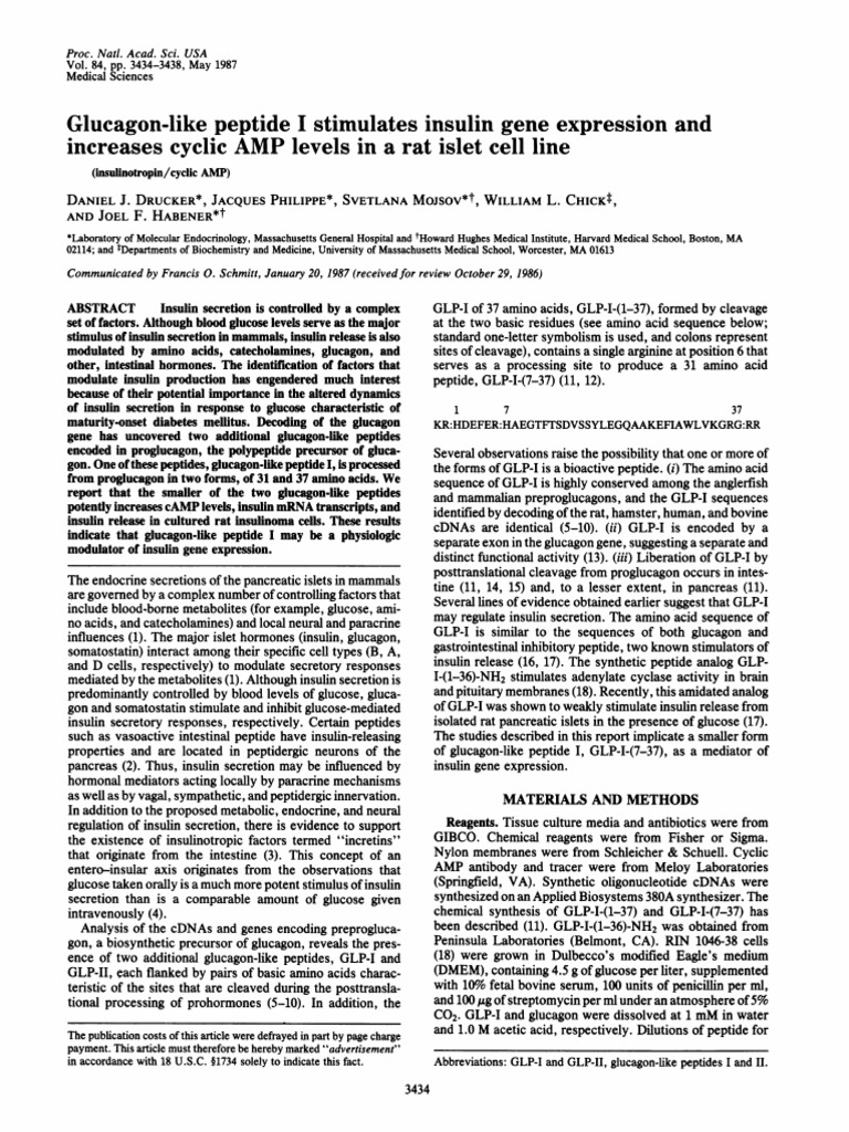GLP-I Enhances Insulin Gene Expression | PDF | Insulin | Pancreas