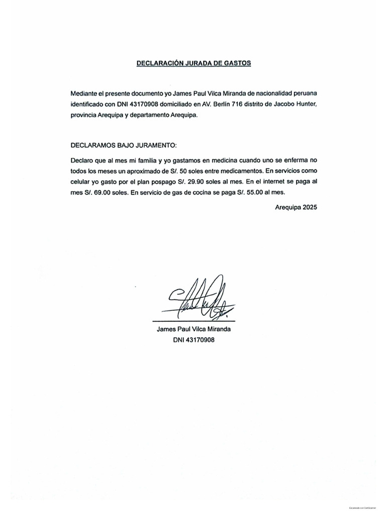 Declaracion Jurada de Gastos | PDF