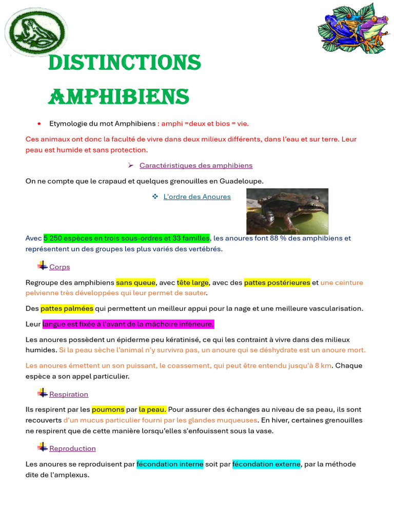 Caractéristiques et diversité des amphibiens | PDF | Grenouille | Amphibiens, image size:768x1024