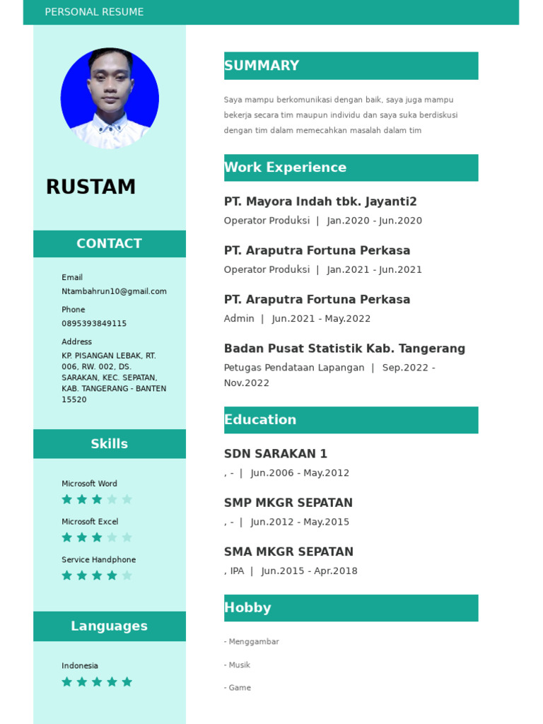 CV Rustam | PDF