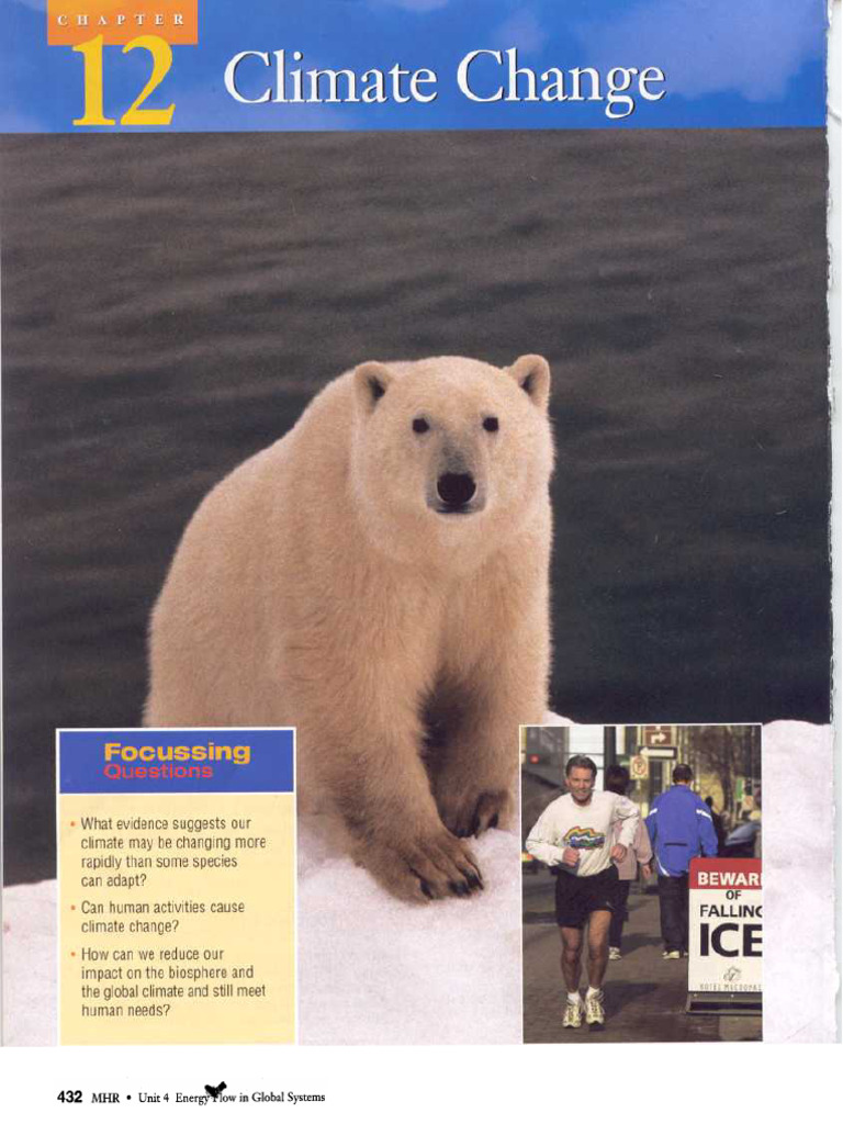 Climate Change Impact on Polar Bears | PDF