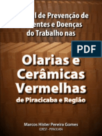 Manual de Prevenção de Acidentes e Doenças do Trabalho nas Olarias