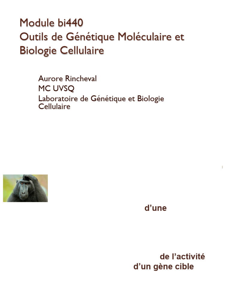Cours 2 AR Cytometrie Gene Rapporteur 25 | PDF | Protéine fluorescente ...
