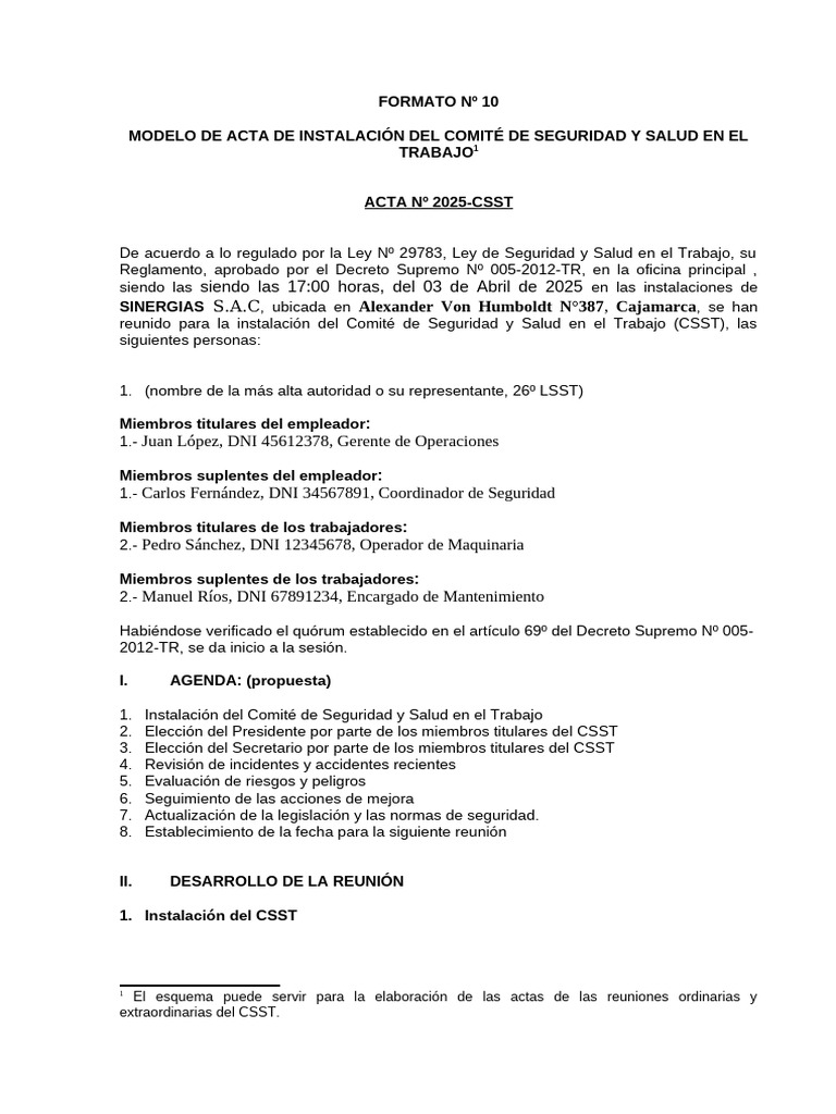 Acta de Instalación del CSST 2025 | PDF | Gobierno