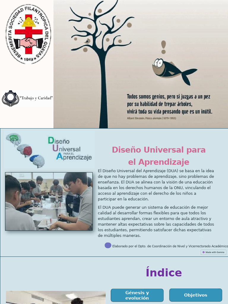 Principios del DUA 3.0 en Educación | PDF | Plan de estudios | Aprendizaje