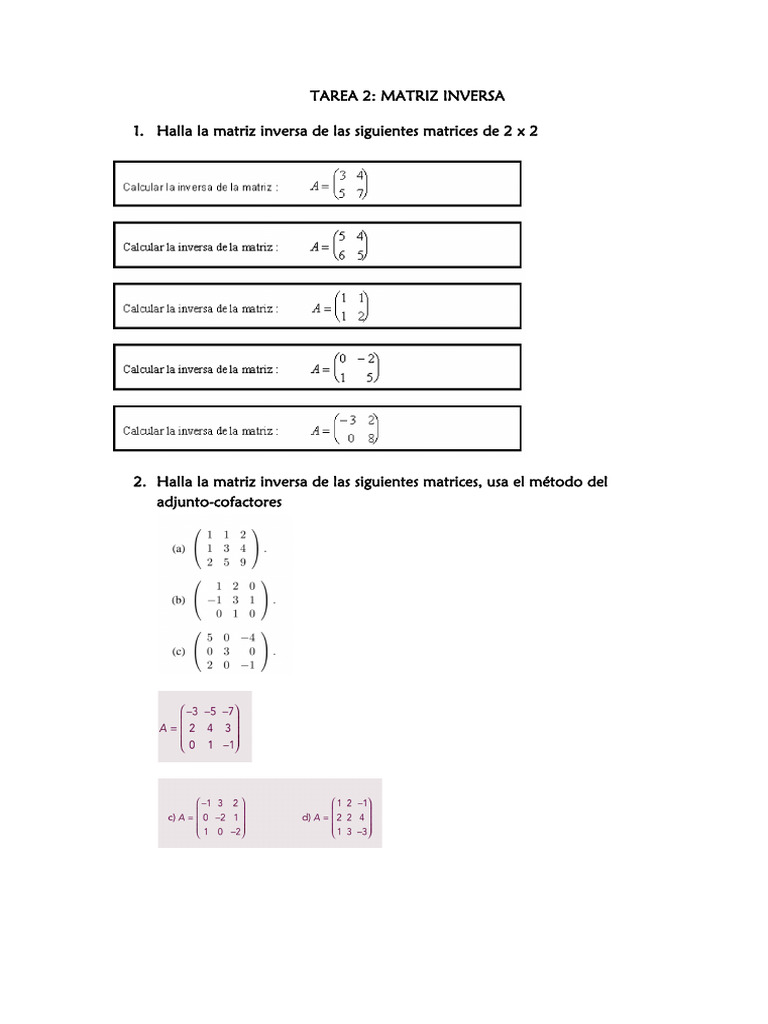 Tarea 2 Matriz Inversa | PDF