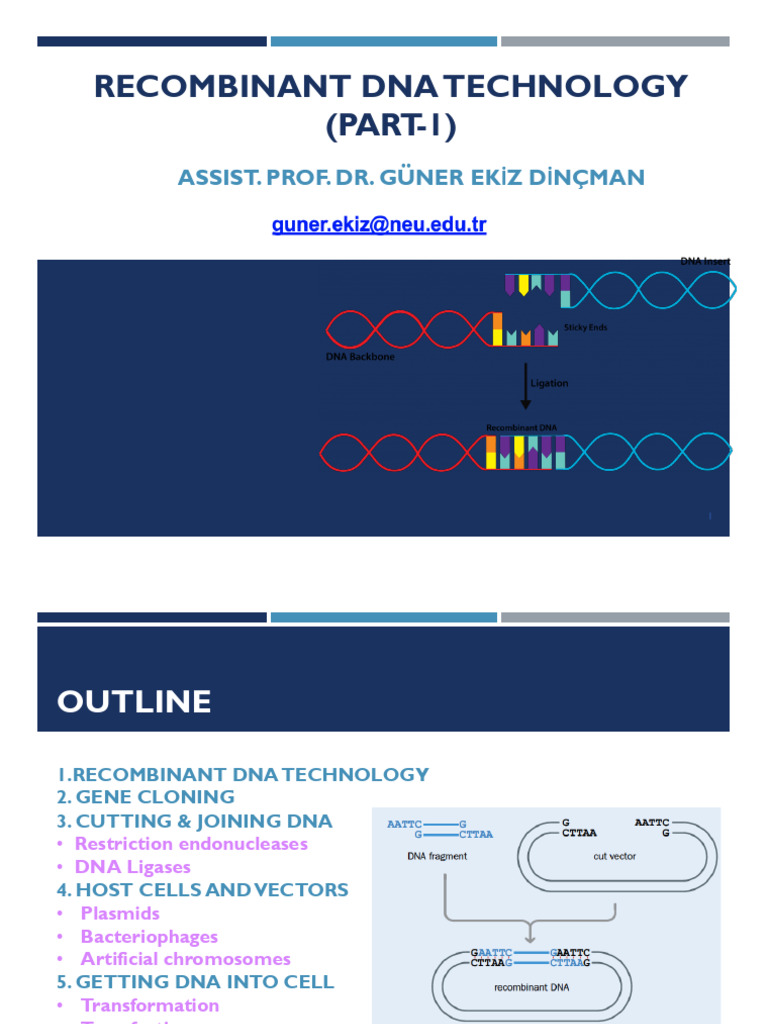 Overview of Recombinant DNA Technology | PDF | Molecular Cloning | Plasmid