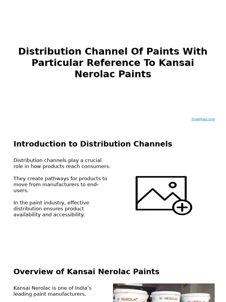 Kansai Nerolac Paints Distribution Strategy | PDF | Retail | Supply ...