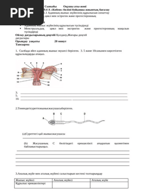 Майлы видеодағы жалғыз жалаңаш қыз