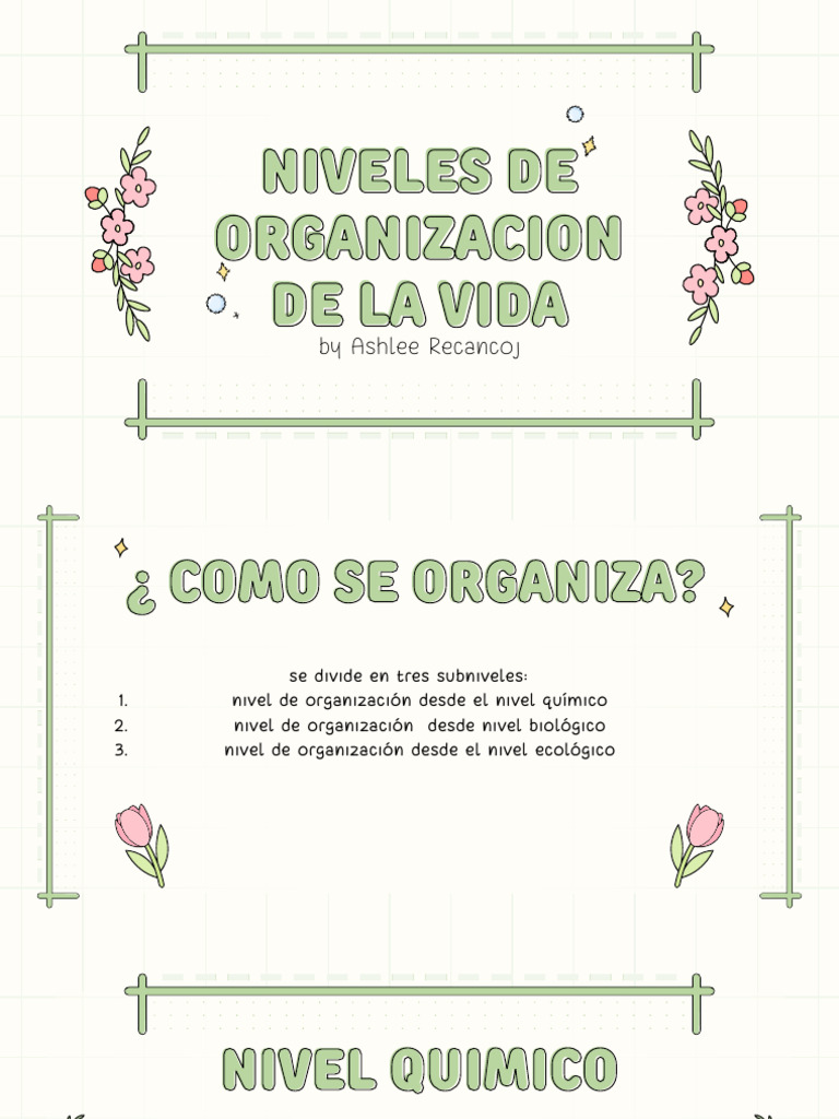 Niveles de Organización de la Vida | PDF