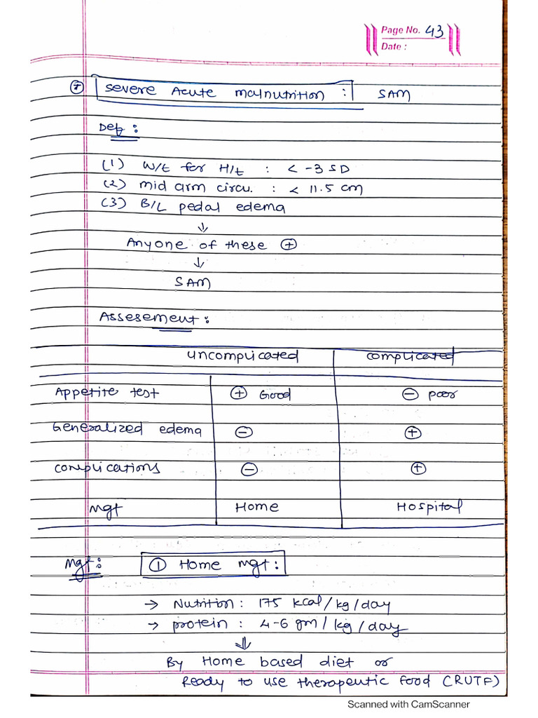 SAM | PDF
