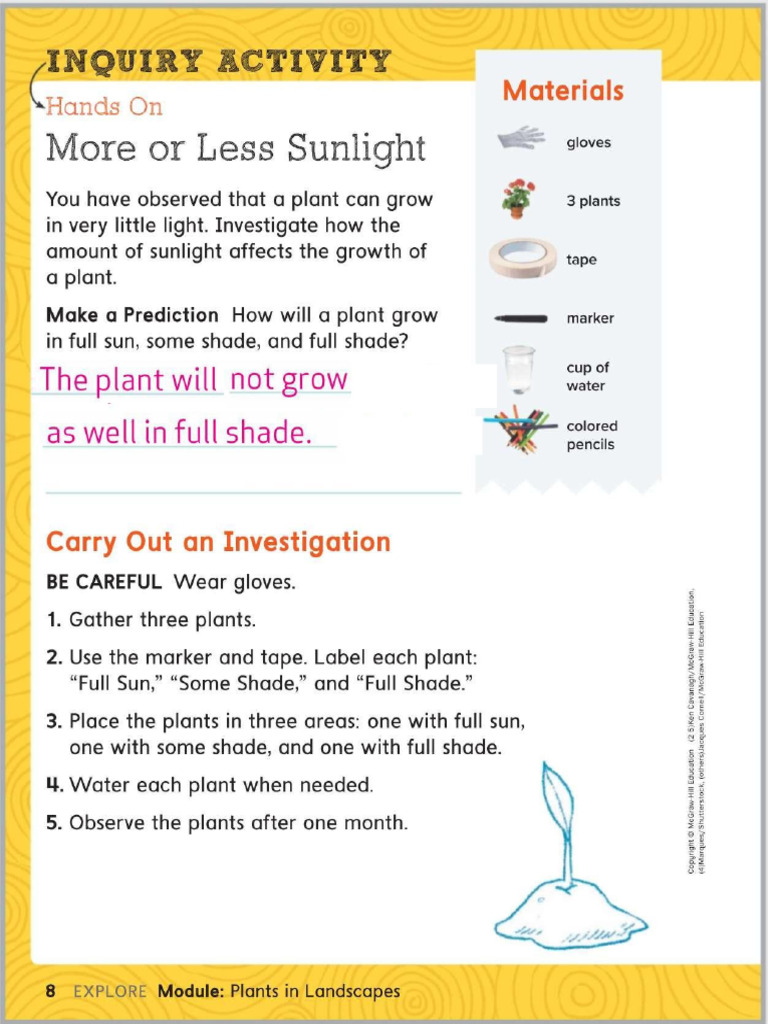 More or Less Sunlight | PDF