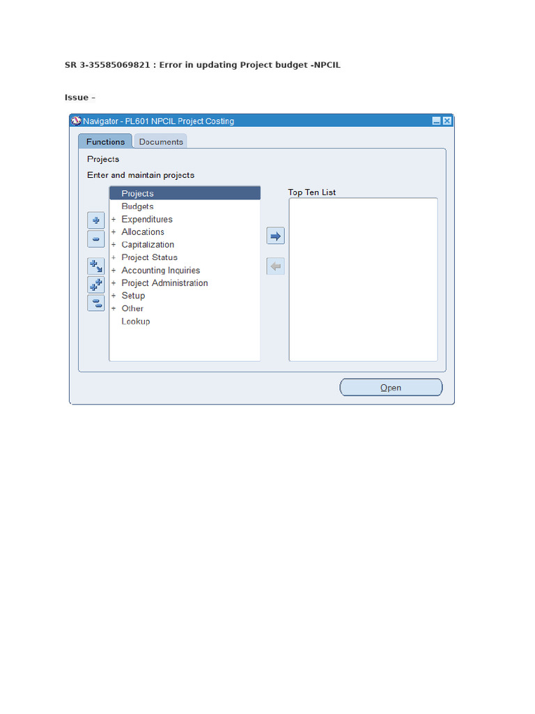 Error in Updating Project Budget | PDF