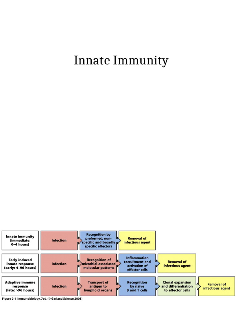 Understanding Innate Immunity Mechanisms | PDF | Complement System ...