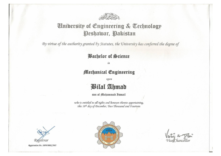 BSC Degree | PDF